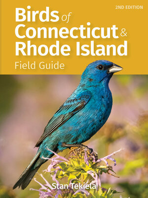 cover image of Birds of Connecticut & Rhode Island Field Guide